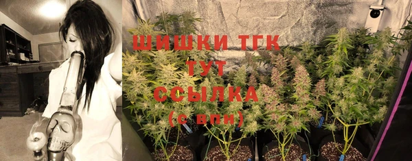 ПСИЛОЦИБИНОВЫЕ ГРИБЫ Алзамай