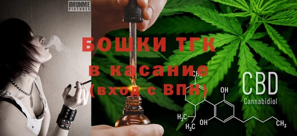 ПСИЛОЦИБИНОВЫЕ ГРИБЫ Алзамай