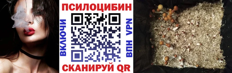 где купить наркоту  мориарти состав  Галлюциногенные грибы Psilocybe  Новозыбков 